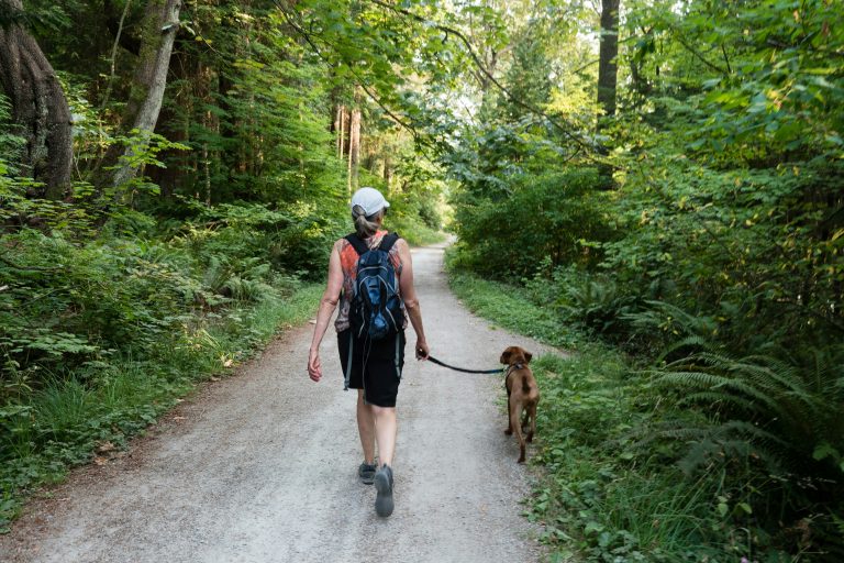 walking a dog in the woods